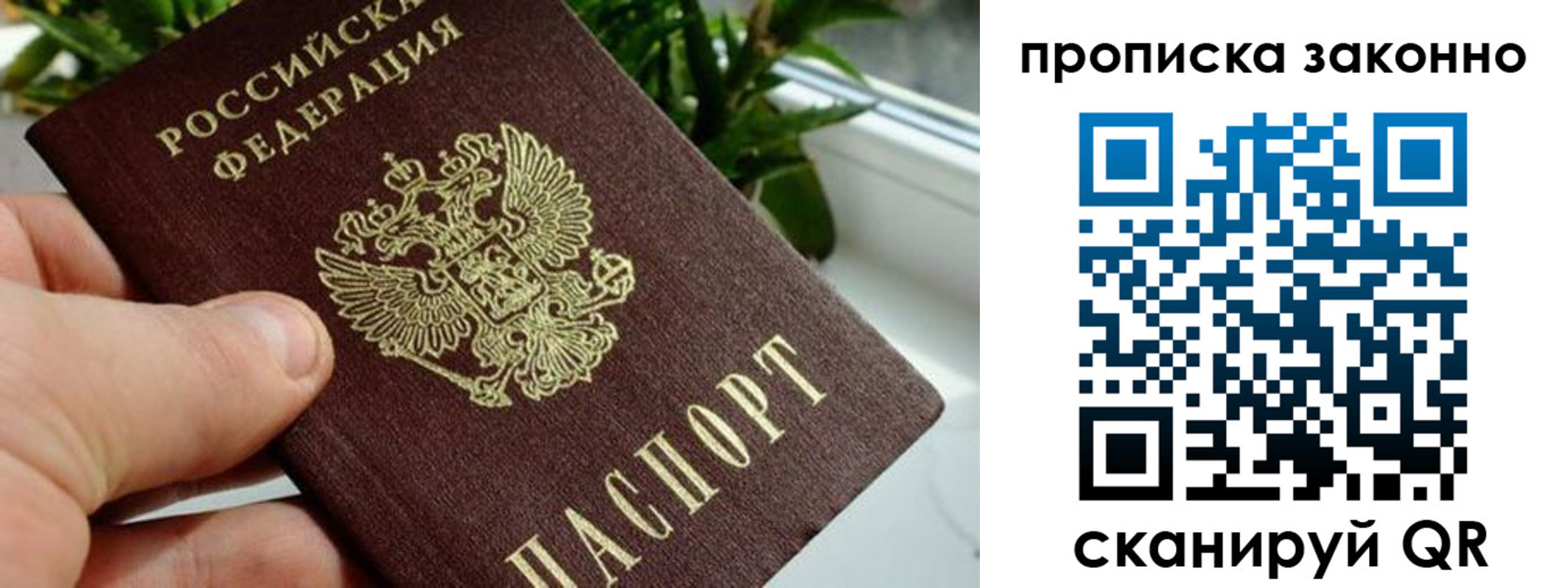 прописка гарантия в Ленинск-Кузнецком
